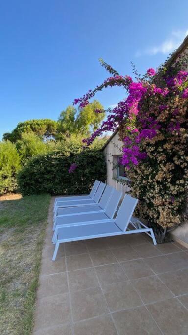 Villa 180 M2 Vue Piscine Climatisee Grand Jardin 5000 M2 Cloture Calme