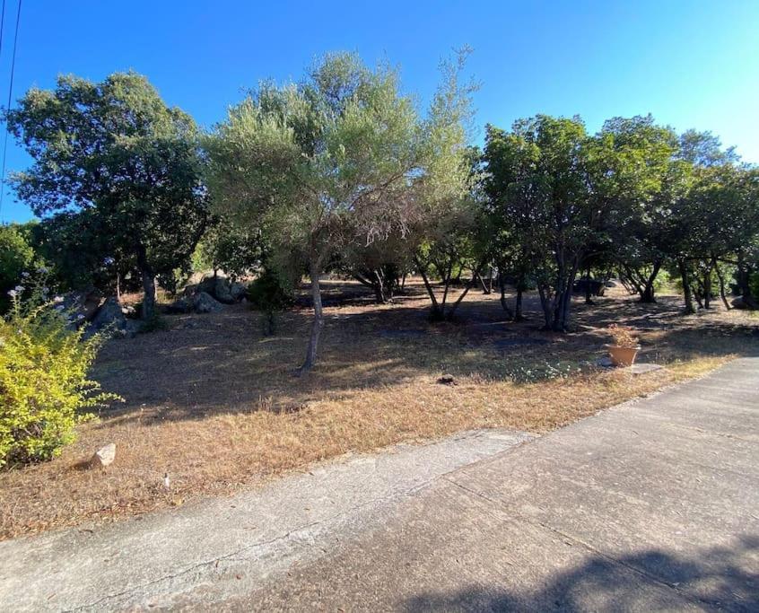 180 M2 Vue Piscine Climatisee Grand Jardin 5000 M2 Cloture Calme